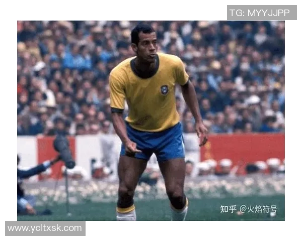巴西足球历史传奇球星排名盘点谁是最伟大的足球巨星